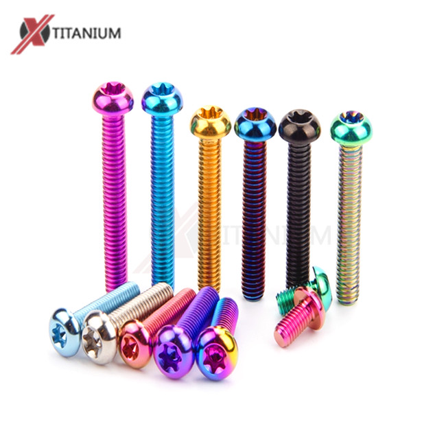 Titanium Alloy Half Round Torx Head Screws M8